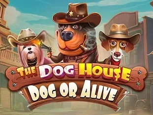 The Dog House - Dog Or Alive game screenshot